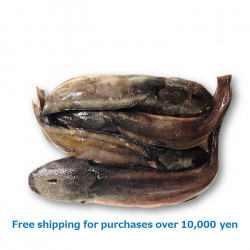 MAGUR FISH WHOLE 500g / マグー魚ルホール（なまず）[12080071]