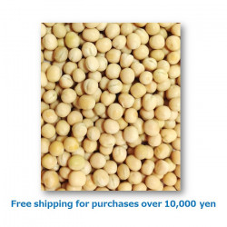 White Peas 1kg / エンドウ豆[37021046]