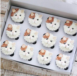 Cat cupcake
